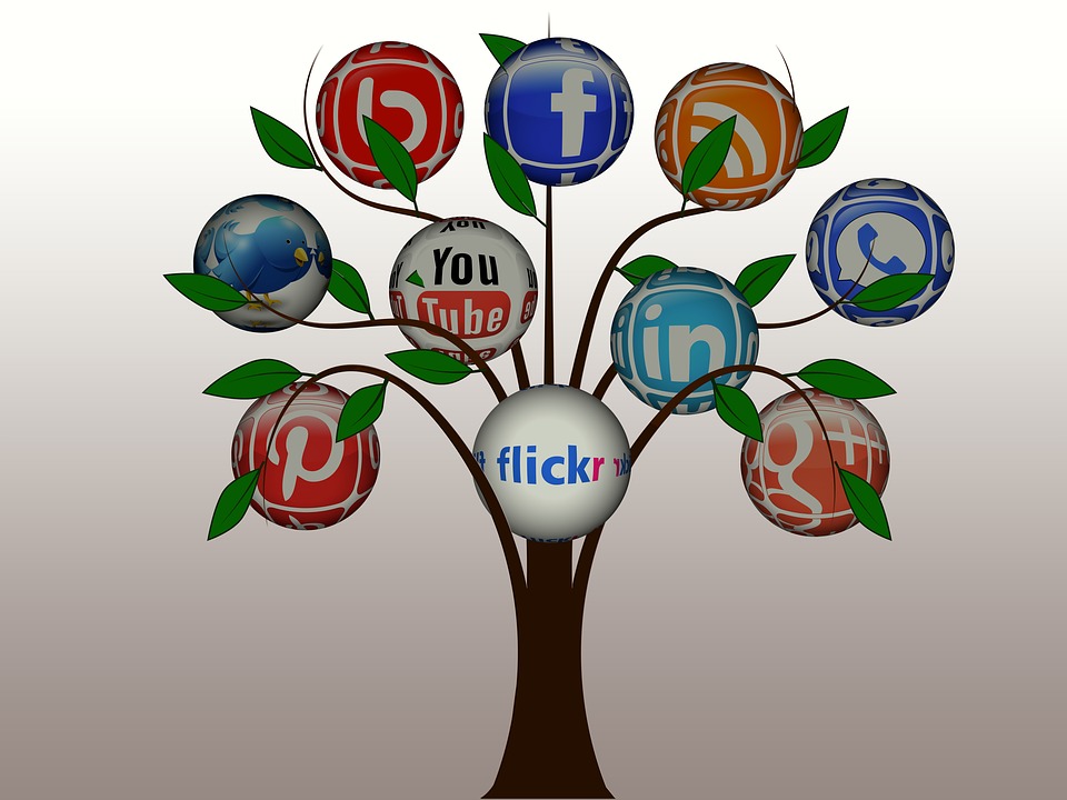 Social Media