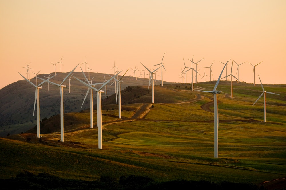 Sustainability