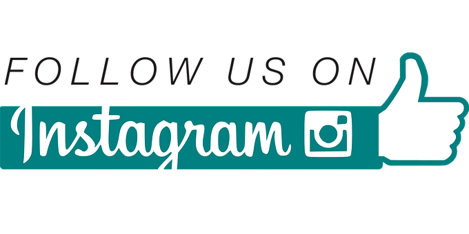 followers on Instagram