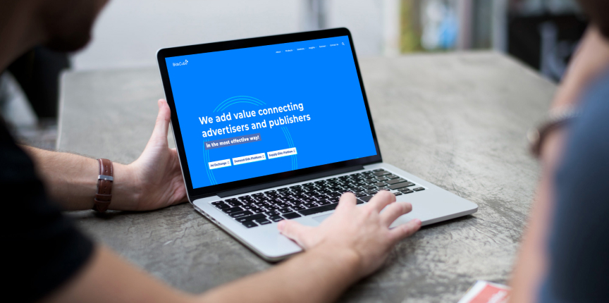 Bidscube RTB Business Solution