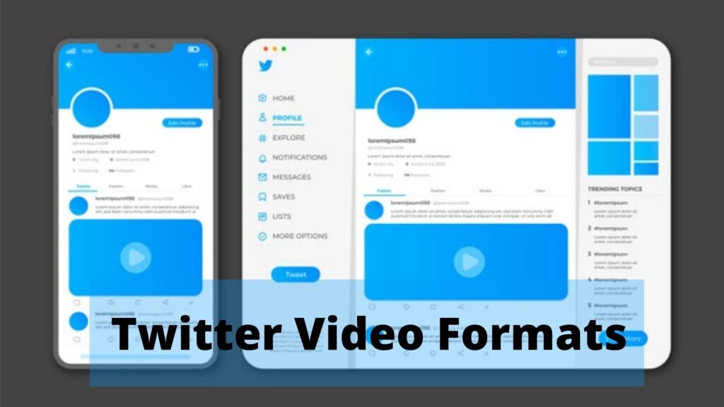 Twitter Video Formats