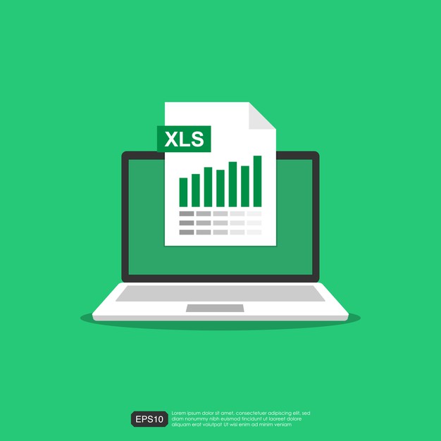What is Excel File