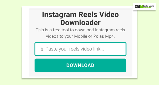 Download Insta Reels Video From Instavideosave