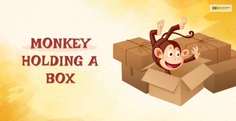 monkey holding a box