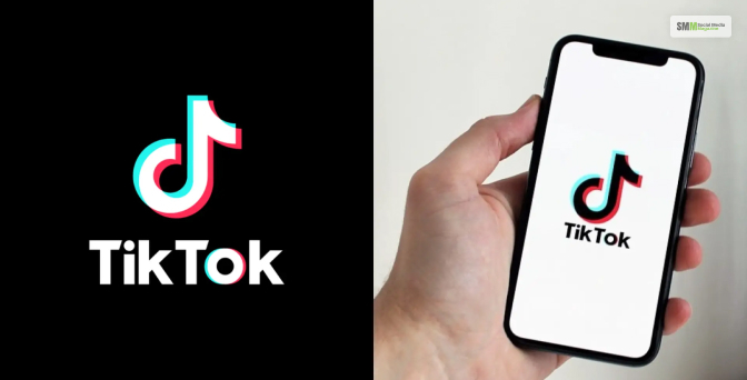 What Is A TikTok Watermark 1 - Easy Way To Remove TikTok Watermark Within A Minute