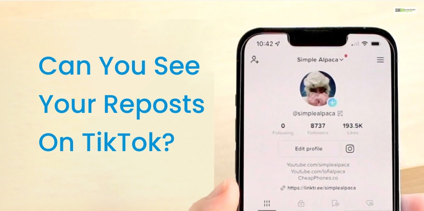 Can You See Your Reposts On TikTok  - How To See Reposts On TikTok? – Exploring Options And Features
