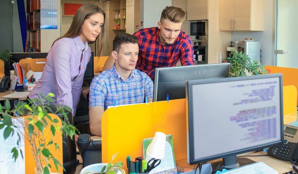 Dedicated Software Development Team Model