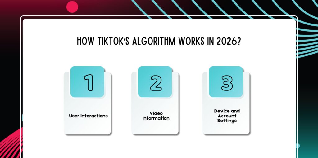 How TikTok’s Algorithm Works in 2026