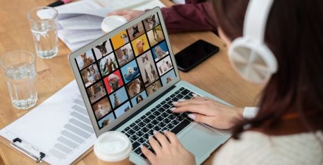 How Do Stock Photos Become Stock Photos