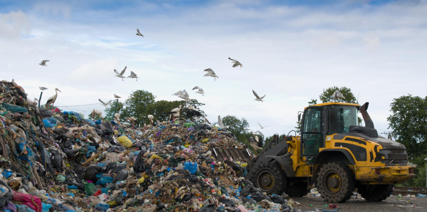 Eco-friendly Practices