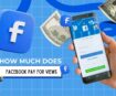 How much does Facebook pay for views