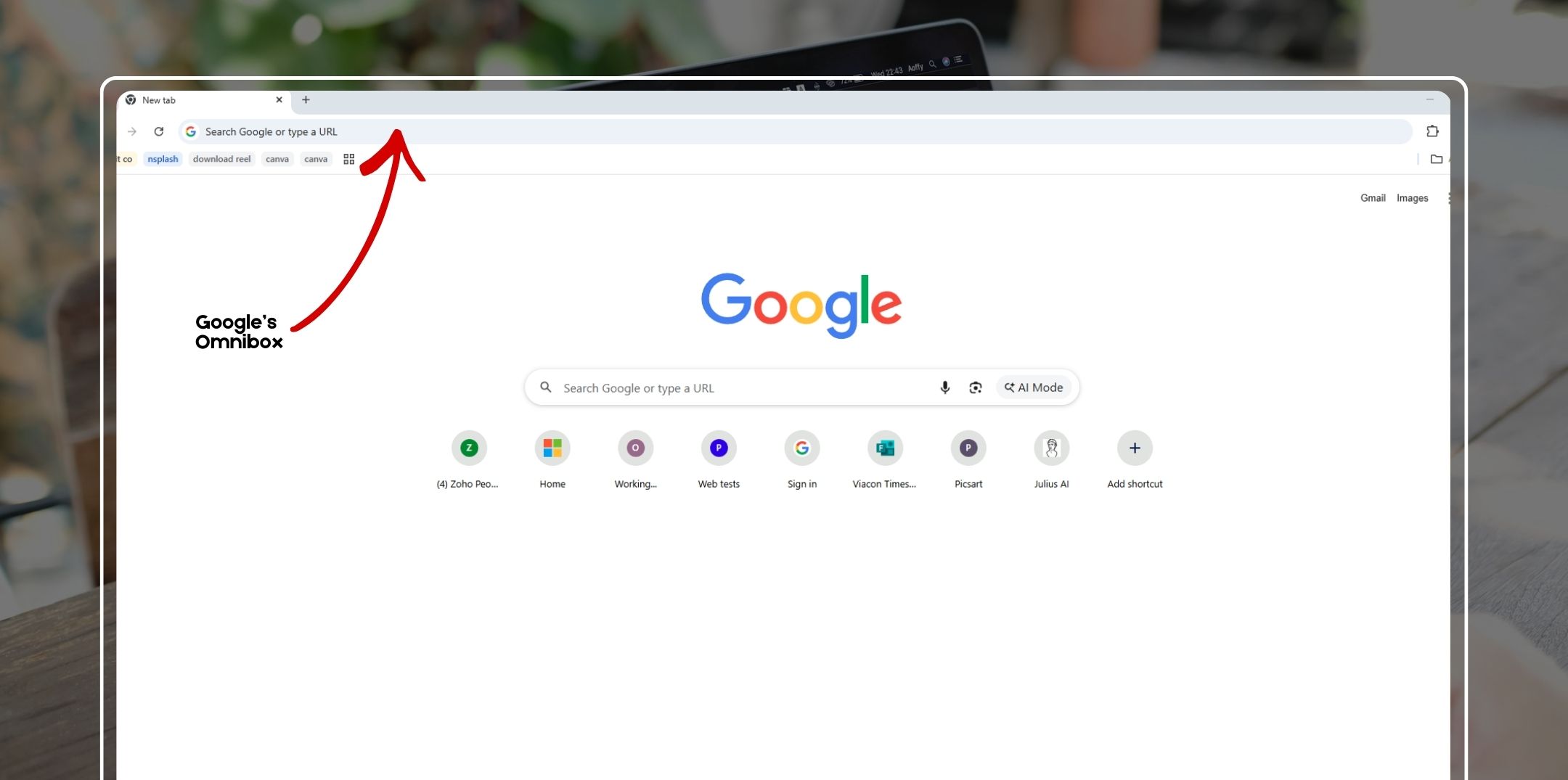 What Is Google’s Omnibox