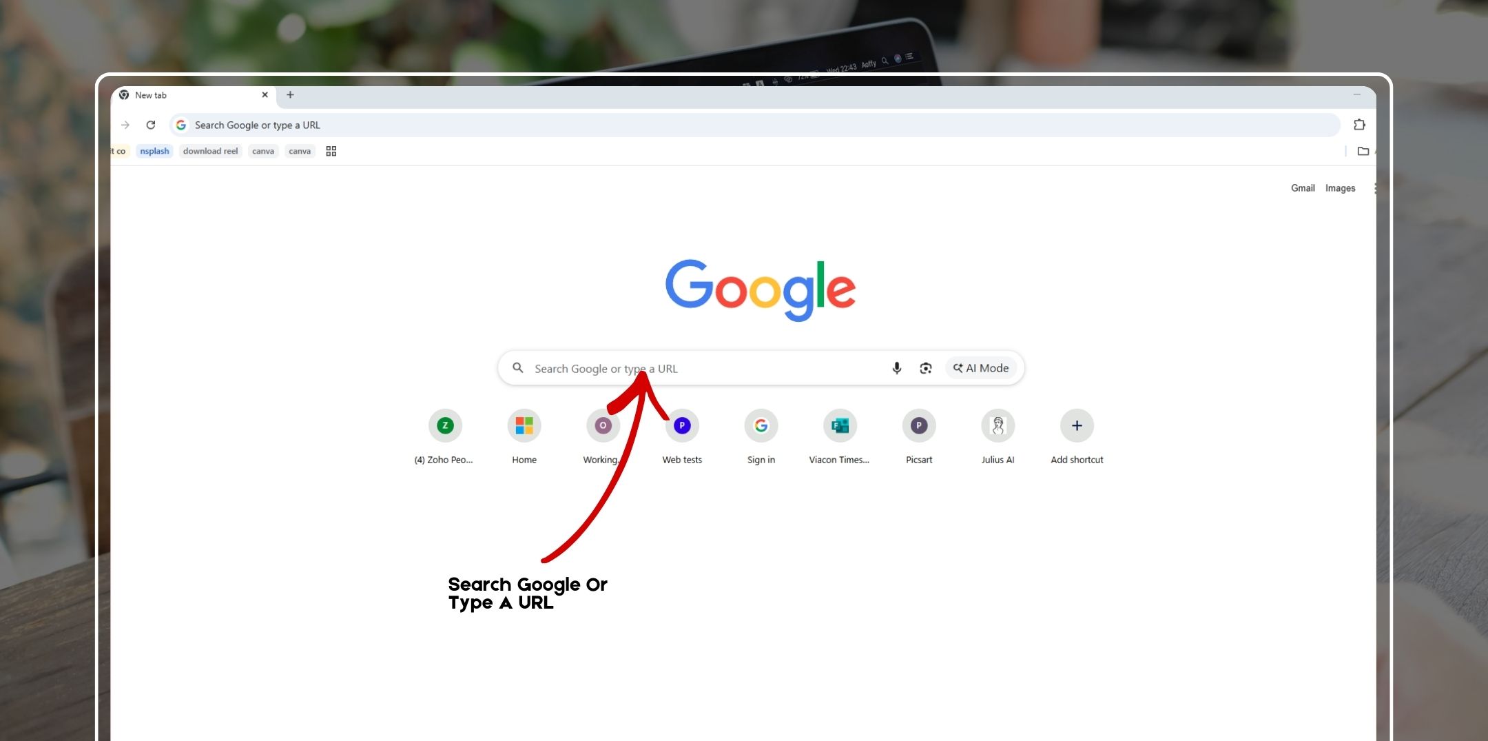 What Is The Meaning Of “Search Google Or Type A URL”?